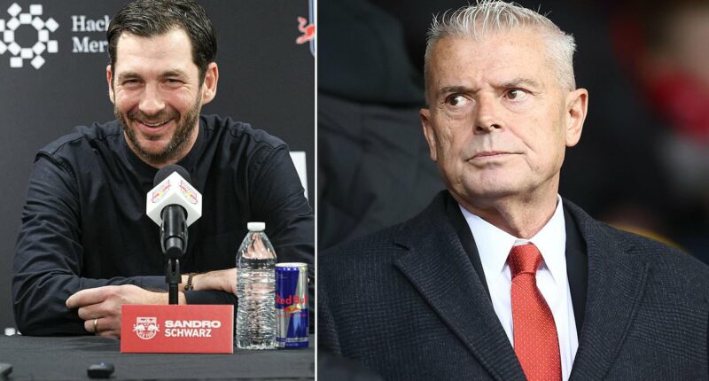 Aberdeen chairman Dave Cormack admits club's manager search has become an 'embarrassment'... as German coach Sandro Schwarz emerges as latest contender for hotseat