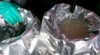 Accused Mexican smuggler caught with 1,000 pounds of liquid meth in truck tank faces life in prison