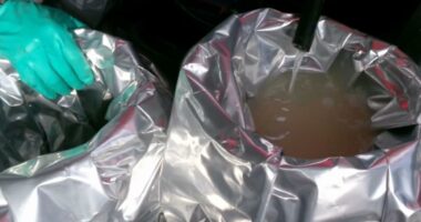 Accused Mexican smuggler caught with 1,000 pounds of liquid meth in truck tank faces life in prison