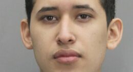 Adult illegal migrant in 11th grade is charged with groping 12 girls