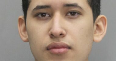 Adult illegal migrant in 11th grade is charged with groping 12 girls