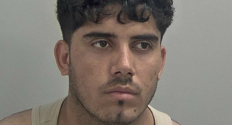 Afghan asylum seeker jailed for 15 years for rape of 12-year-old girl