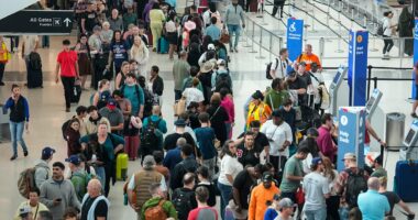 Airport chaos across country: TSA screenings are backed up for HOURS