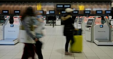 Airport worker in court accused of Nazi salute to Jewish kids