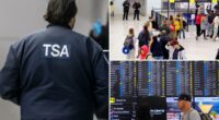 Airports could be forced to close over Dem DHS shutdown, TSA official warns