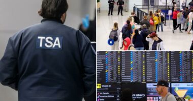 Airports could be forced to close over Dem DHS shutdown, TSA official warns