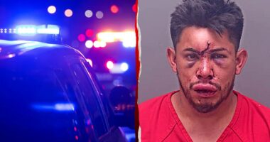 Alabama teen comes to mother's aid, knocks out stepfather during alleged strangulation attempt