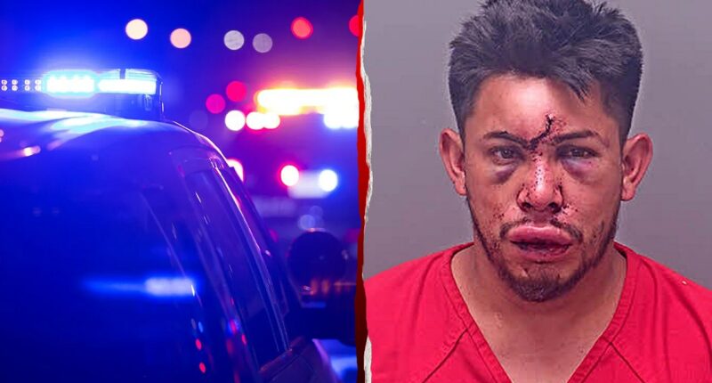 Alabama teen comes to mother's aid, knocks out stepfather during alleged strangulation attempt