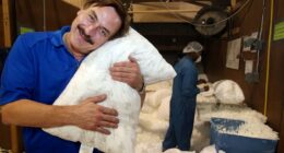 Celebrity Net Worth logo