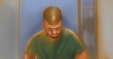 Alleged Bondi shooter's family 'fearful' and at risk of being killed, court told