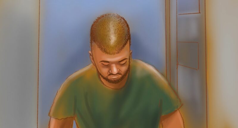 Alleged Bondi shooter's family 'fearful' and at risk of being killed, court told