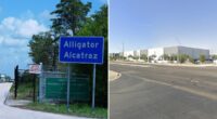 Alligator Alcatraz company given green light to open second facility