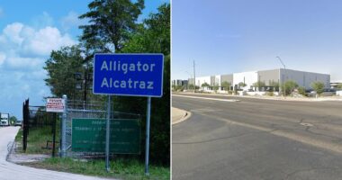 Alligator Alcatraz company given green light to open second facility