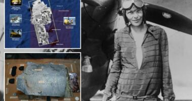 Amateur slueuths still spend big on Amelia Earhart mystery