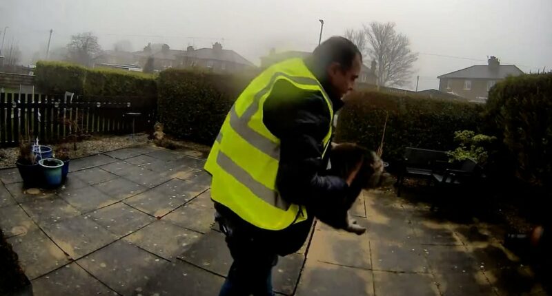 Amazon driver caught on Ring footage stealing family's cat faces jail