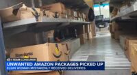 Amazon investigating after Elgin, Illinois senior Pat Hurley inundated with Amazon deliveries, received packages she didn't order