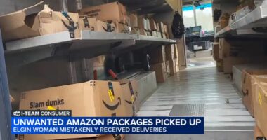 Amazon investigating after Elgin, Illinois senior Pat Hurley inundated with Amazon deliveries, received packages she didn't order