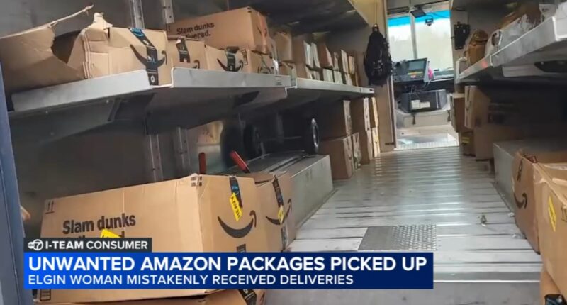 Amazon investigating after Elgin, Illinois senior Pat Hurley inundated with Amazon deliveries, received packages she didn't order