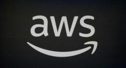 A glitch at an ﻿Amazon Web Services (AWS) data centre in the US left millions around the world unable to access half the internet, but how exactly did it cause the widespread disruption?