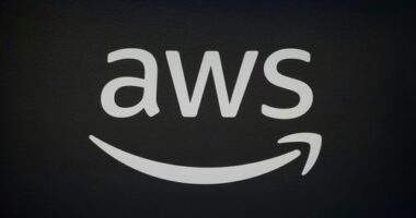A glitch at an ﻿Amazon Web Services (AWS) data centre in the US left millions around the world unable to access half the internet, but how exactly did it cause the widespread disruption?
