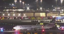 American Airlines flight makes emergency landing at Newark Airport