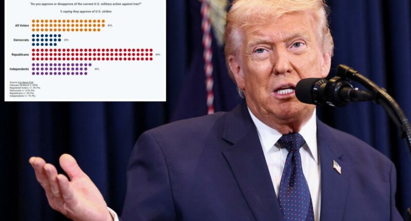 Americans divided on Iran war along party lines: polls