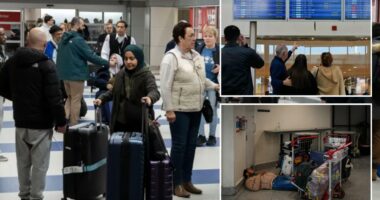 Americans stuck in the Middle East recount finding their way home with little government help