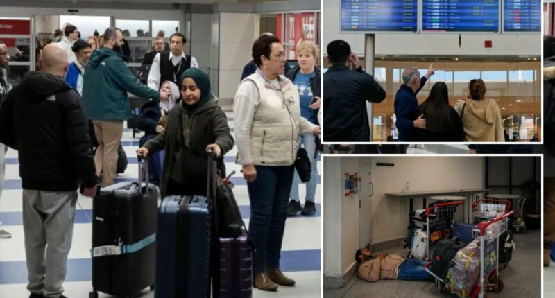 Americans stuck in the Middle East recount finding their way home with little government help