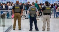 Americans torn on who to blame for TSA hell as Trump issues surprise ICE order to agents flooding crisis-hit airports