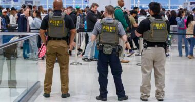Americans torn on who to blame for TSA hell as Trump issues surprise ICE order to agents flooding crisis-hit airports