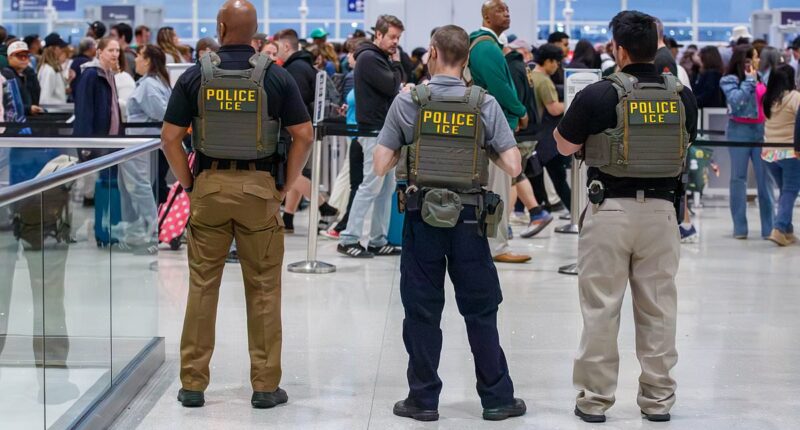 Americans torn on who to blame for TSA hell as Trump issues surprise ICE order to agents flooding crisis-hit airports