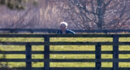 Andrew Mountbatten-Windsor takes solo dog walk around Sandringham