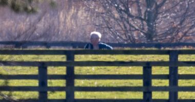 Andrew Mountbatten-Windsor takes solo dog walk around Sandringham