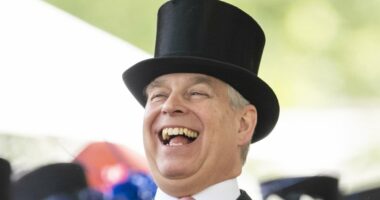 Andrew leaked intel on £3bn Lloyds branch sell-off to banker friend