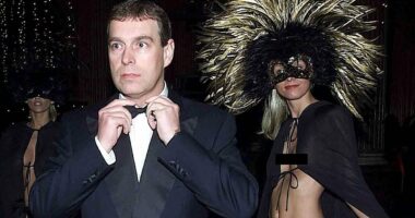 Andrew's 'serial sex addiction': Epstein dubbed him 'king of kink', he 'slept with more than 12 women in the first year of marriage' - and what of those rumours that Fergie caught him in flagrante with another man?