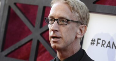 Andy Dick has ‘5 to 7 holes’ in his brain after L.A. overdose