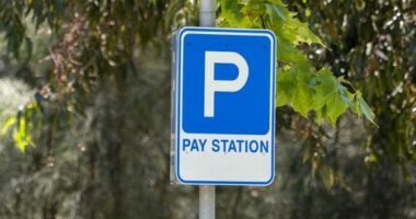 Pay station parking sign