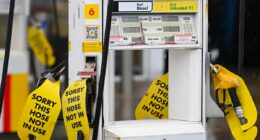 Anthony Albanese makes a dramatic announcement about the fuel crisis