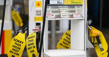 Anthony Albanese makes a dramatic announcement about the fuel crisis