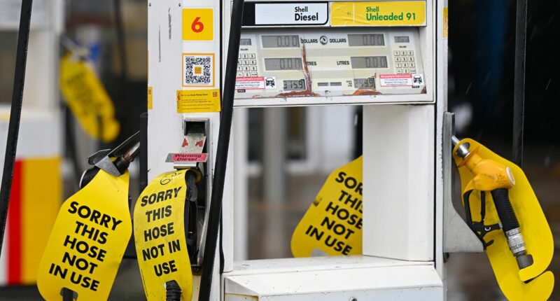 Anthony Albanese makes a dramatic announcement about the fuel crisis