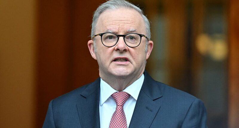 Anthony Albanese makes admission about fuel shortages in Australia