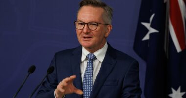 Anthony Albanese to announce emergency measures