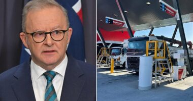 Anthony Albanese's government to HALVE major tax amid fuel crisis