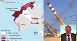 Anthony Albanese's warning to the world as fuel prices surge