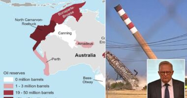 Anthony Albanese's warning to the world as fuel prices surge