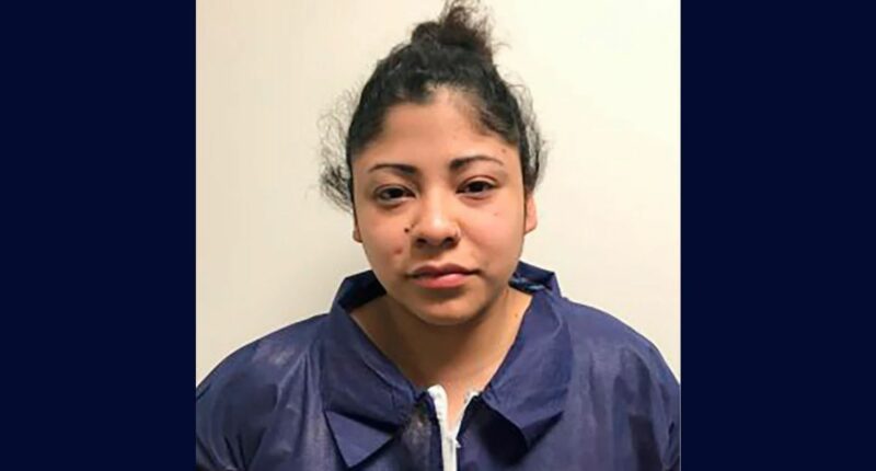 'Appropriate and just': Daughter of first U.S. director of national intelligence under George W. Bush sentenced again for stabbing longtime friend to death during argument