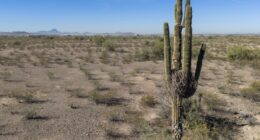 Arizona community records hottest-ever March temp in the US