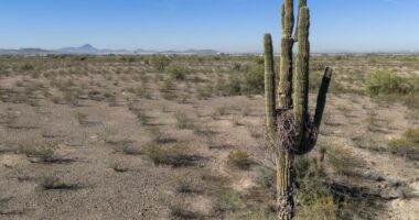 Arizona community records hottest-ever March temp in the US