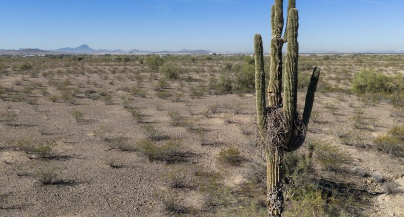 Arizona community records hottest-ever March temp in the US