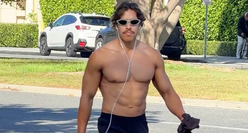 Arnold Schwarzenegger's son Joseph Baena walks shirtless in LA